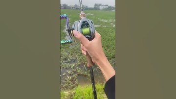 Shot video máy câu curado dc 151 hg