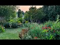 Earlyjune cottage garden tour