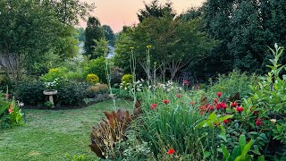 EarlyJune Cottage Garden Tour