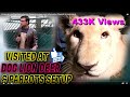 Lion Dog Deer & Parrots Visited at Setup (Jamshed Asmi Informative Channel) In Urdu/Hindi