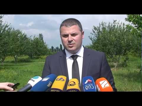 სოფლის მეურნეობის მინისტრის მოადგილემ სტიქიის შედეგები ადგილზე ნახა