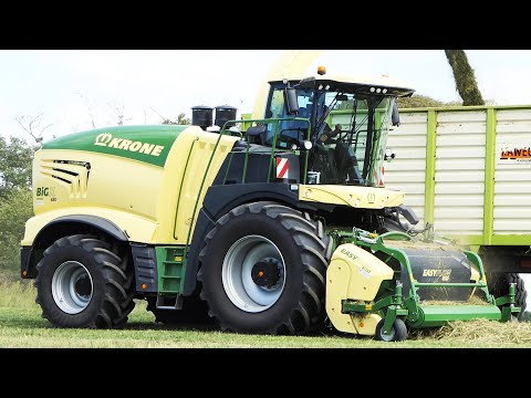 Krone Big X 680 in the field chopping crops for silage | Danish Agriculture | Chopping Season 2021