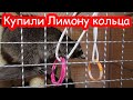 Классные покупки в зоомагазине