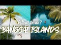 Banggai islands  what to do   travel vlog