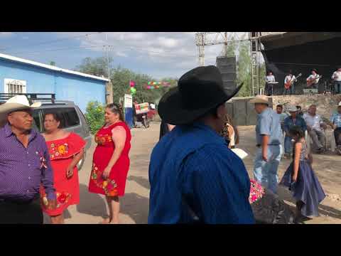 Vals de Huapango de Alexa En Buenavista Giadalcazar San Luis portosi