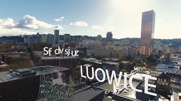 LuowiceR8 1080P WiFi Security Camera