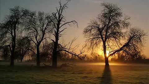 روائع #المنشاوي سورة (#الفجر)