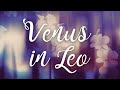 venus in leo, leo in love