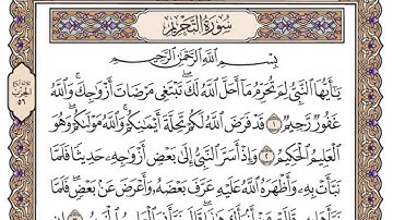 سورة التحريم / محمد صديق المنشاوي