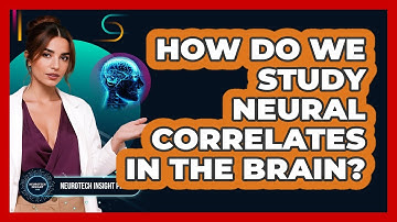 How Do We Study Neural Correlates In The Brain? - Neurotech Insight Pro