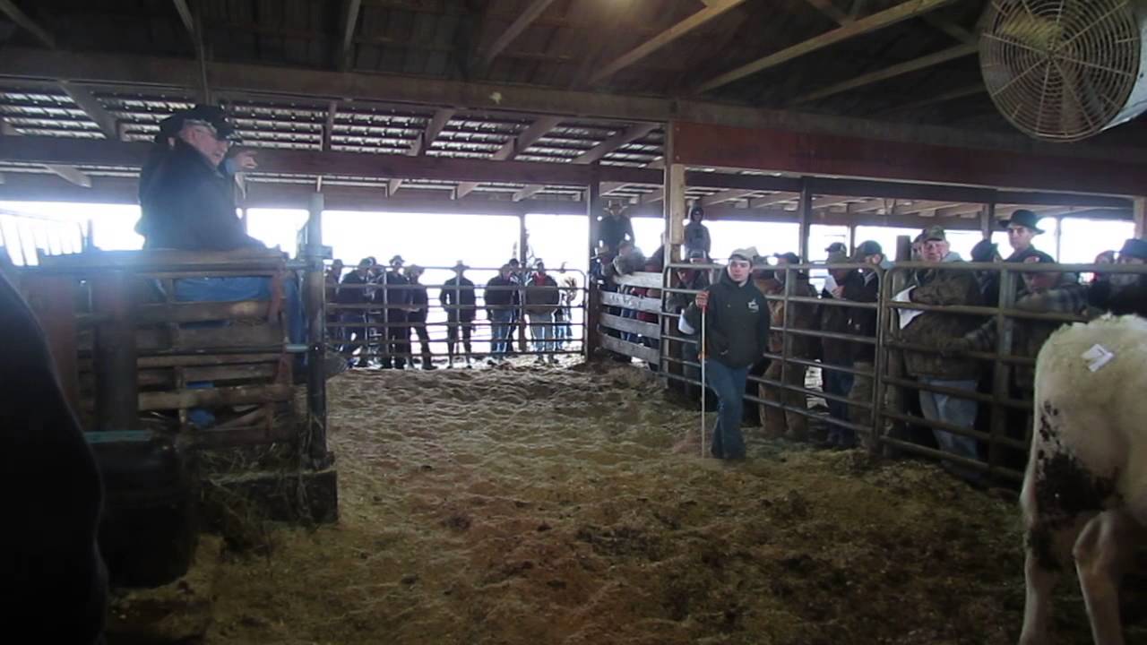 FARM EQUIPMENT & COW SALE YouTube