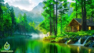 Calming Music for Nerves🌿 Healing Music for the Heart & Blood Vessels, Relaxing, Music for the Soul.