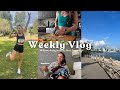 WEEKLY VLOG ✦ 10K Race Results, Aritzia Fall Haul, &amp; Meal Prepping | EP 11.