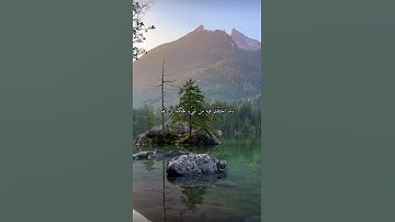 ياسر الدوسري حالات واتس اب قران كريم سورة الشورى