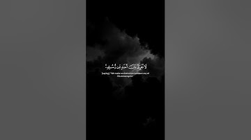 #آمن_الرسول_بما_انزل_اليه_من_ربه_والمؤمنون🌿#سورة_البقرة #قرآن #اسلام_صبحي #المصحف #اكسبلور