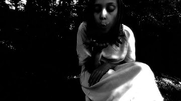 Art of Empathy "Where Souls Shine Brightest" (Official Video - HD)