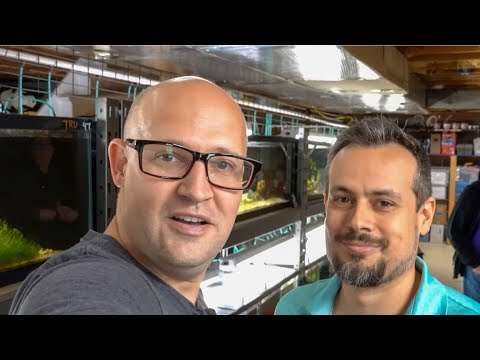 Jack's Fish Room Tour: Mastering Live Foods & RARE Cichlids