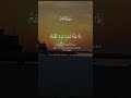 islamic status #islaamivideos #islamicquotes