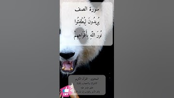 والله متم نوره | سورة الصف #دعاء_ورسالة