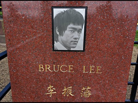 Video: De Reiswijsheid Van Bruce Lee - Matador Network
