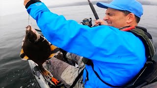 STARRY FLOUNDER Catch & Cook.  These fish have the most unusual fillets. by Peeling Line 806 views 11 months ago 13 minutes, 42 seconds