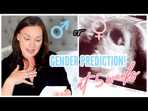EARLY GENDER PREDICTION AT 7 WEEKS | ARE WE HAVING A BOY OR GIRL? 97% ACCURATE!? | RAMZI THEORY