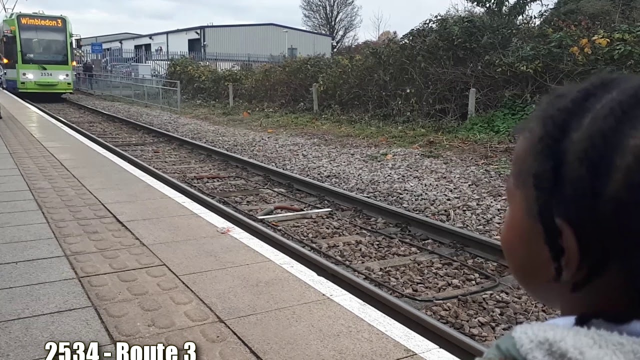 Tram Spotting - Belgrave Walk - Young Enthusiast