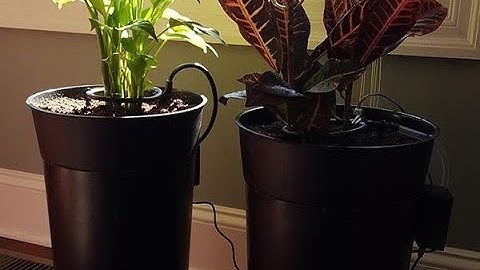 Build IoT Self Watering Pots & Custom WiFi Cultivation Setups P3: Building Your Planter