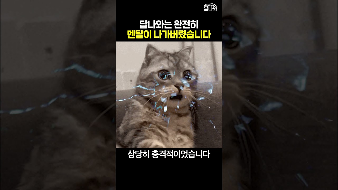 답나와는 완전히 멘탈이 나가버렸습니다