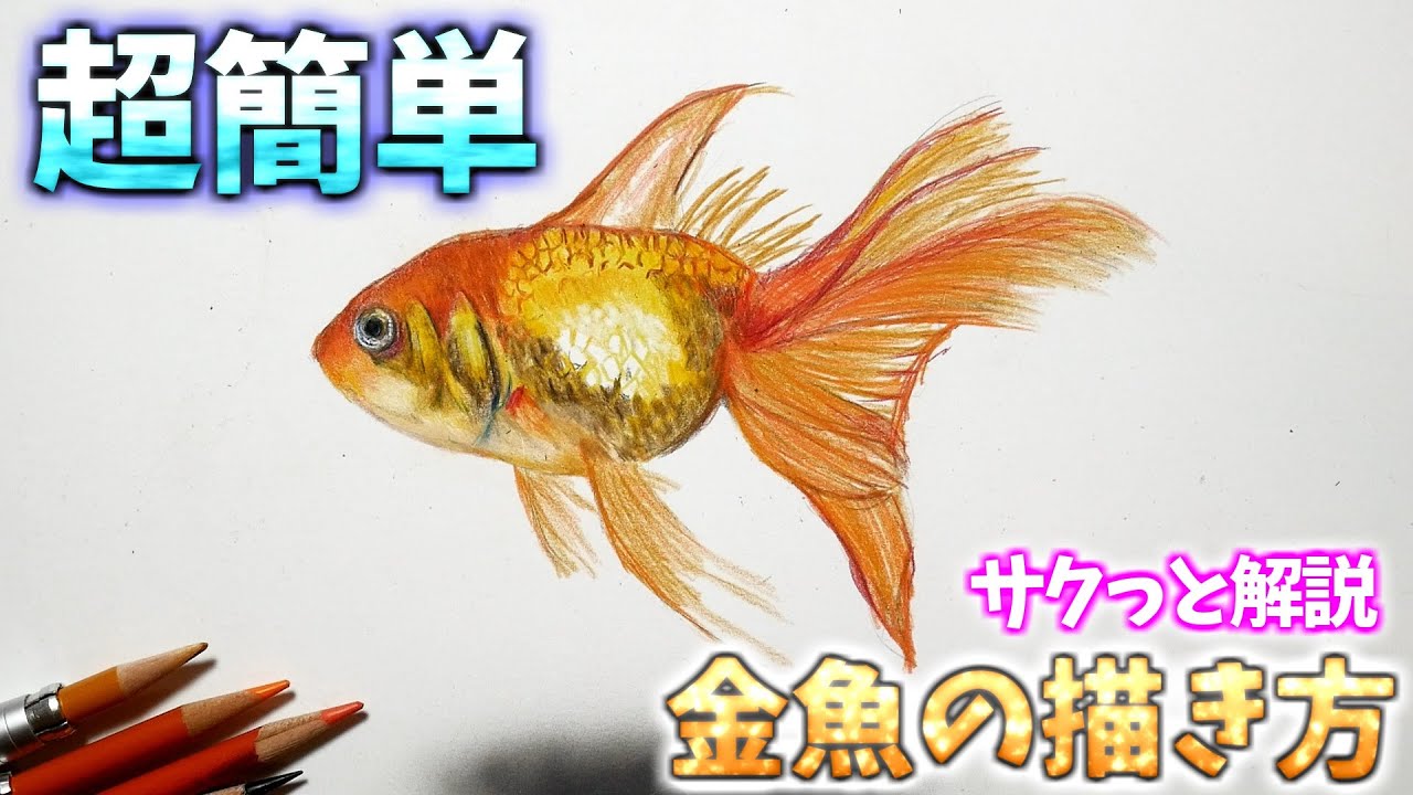 解説 色鉛筆画金魚のリアルな描き方 Explains How To Easily Draw Goldfish With Colored Pencils Youtube