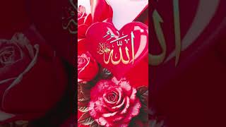 Allah Hu Akbar 😱#trending #duet #ytshorts #viralvideos #youtubeshorts