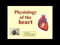 Lecture 15. Heart Physiology