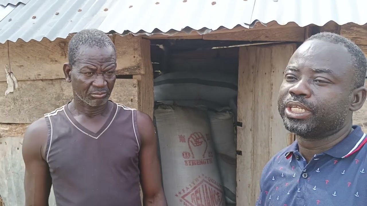 Rice Farming in Ghana is under threat pt1.