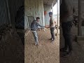 Ethiopia Meme Funny Very Loughkkkkkk Ethiopia Meme Funny Very Loughkkkkkk