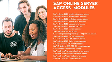 sap pp ides access
