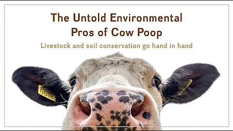 The Untold Environmental Pros of Cow Poop