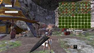 Monster Hunter UE4 Inventory Box WIP