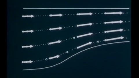 1  Eulerian and Lagrangian Descriptions in Fluid Mechanics