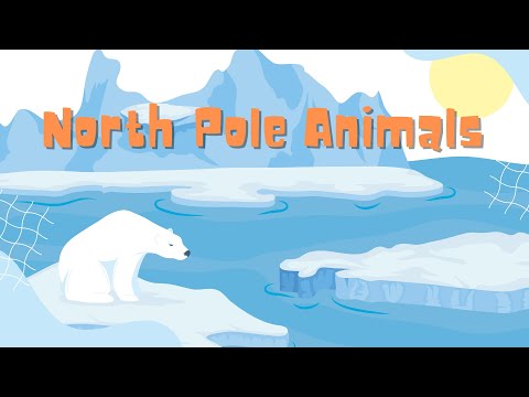 EXPLORE THE FASCINATING WORLD OF NORTH POLE ANIMALS