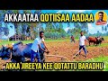 Jirenya Magala Irraa Gara Badiyyaa Lafa Qotacha Jiraaa 