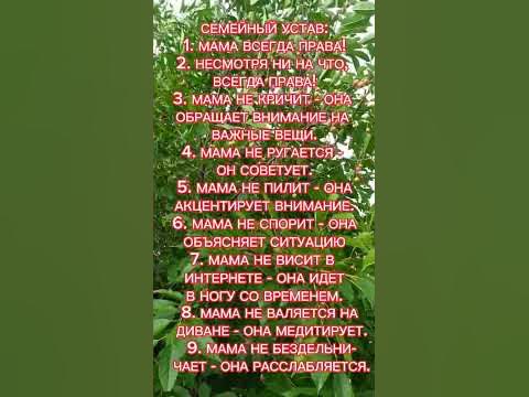 #СЕМЕЙНЫЙ#УСТАВ#:# - YouTube