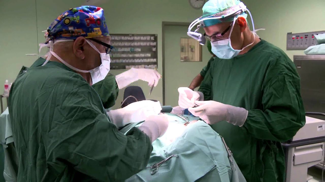 Слюнные железы