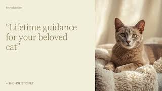 Comprehensive Guide to Raw Feeding Cats