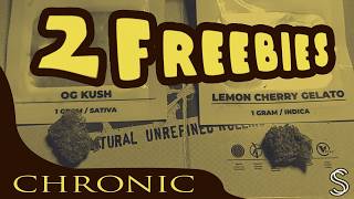 2 Freebies | Chronic Hemp | SmallzSmokez THCA Review