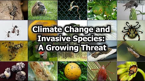 COP30 - Invasive Species Call to Action