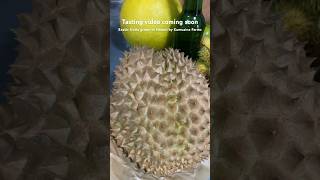 Tasting Fruits Video Coming Soon farms fruittasting hawaii kumuainafarms durian rambutan