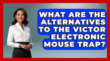 What Are The Alternatives To The Victor Electronic Mouse Trap? - Insects and Invaders