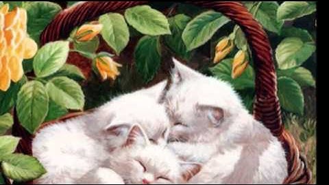 101 STRINGS ORCHESTRA - MEMORY