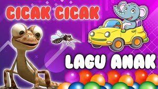 KOMPILASI LAGU ANAK ANAK PILIHAN/ CICAK CICAK DI DINDING - ANAK AYAM KUKURUYUK - BALONKU ADA LIMA