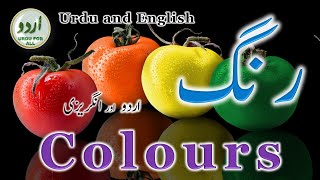 Learn Colours in Urdu and English | اردو اور انگریزی میں رنگ | रंगों के नाम | Learn Urdu/English